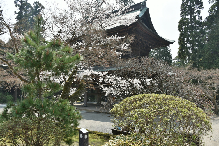 Engaku-ji Temple