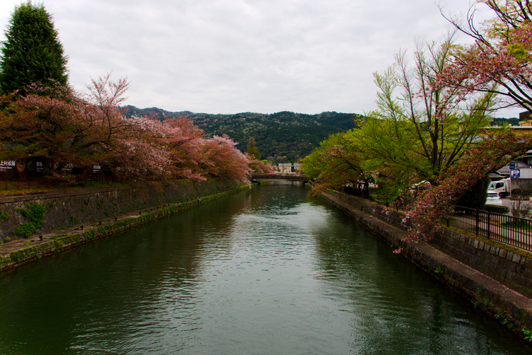 One of the Canals of Kyoto