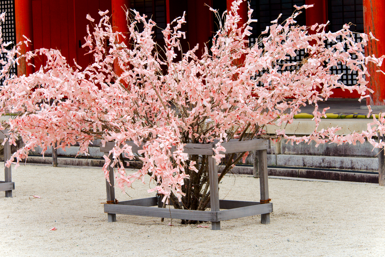 A Wishes Bush made from Pink Prayer Strips