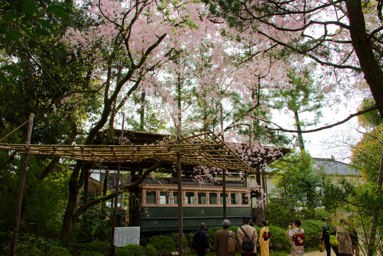 Chin Chin Street Car in Heian-jingu Garden