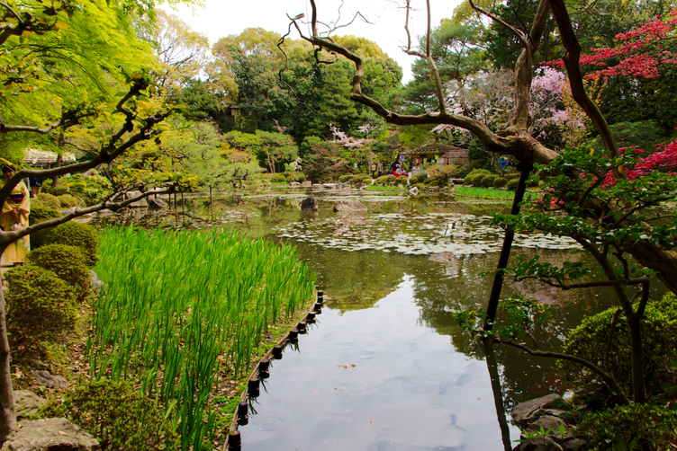 Pond in the Heian-jingu Garden