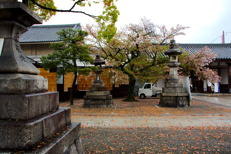 Stone Lanterns next to the North Gate of Tō-ji Temple