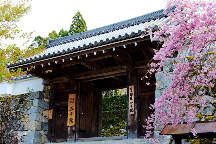 Entrance Gate at Sanzen-in Temple