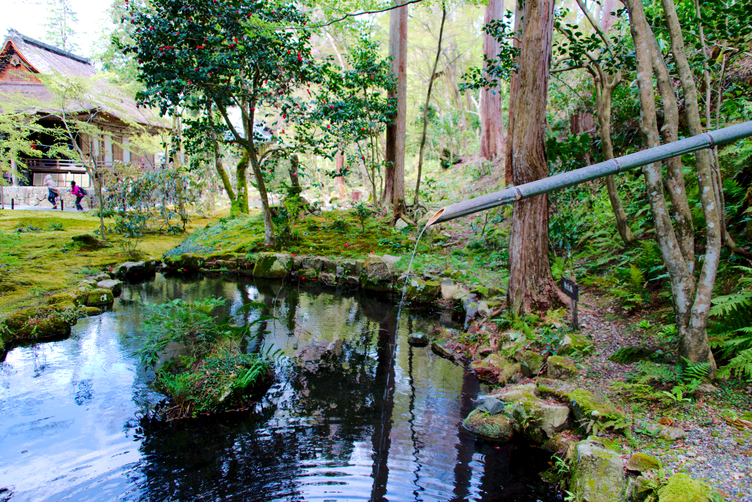 Bamboo Pipe Waterfall at Sanzen-in Temple