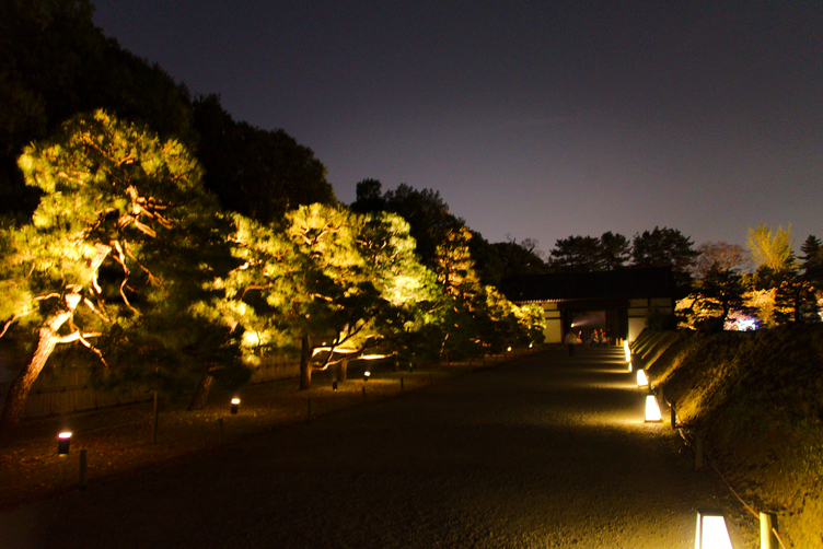 Illuminated Path at Nijō-jō Castle
