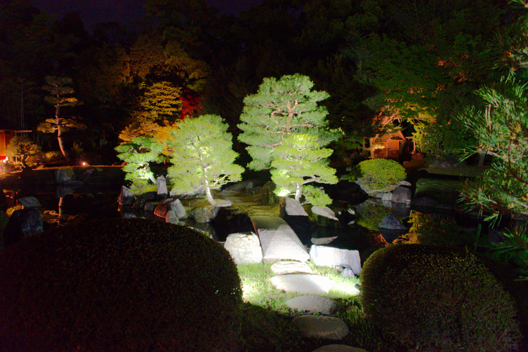 Pond at Nijō-jō during Nighttime Illumination