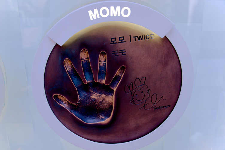 Closeup of Momo's Handprint