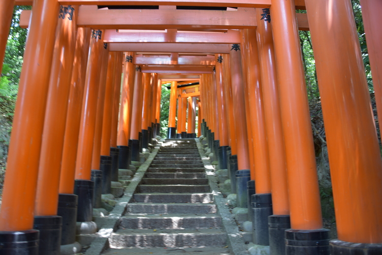 Tunnel of Torii Gates at Fushimi Inari-taisha 