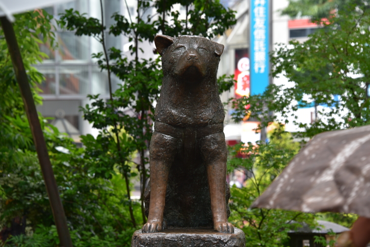Hachikō Statue outside Shibuya Station