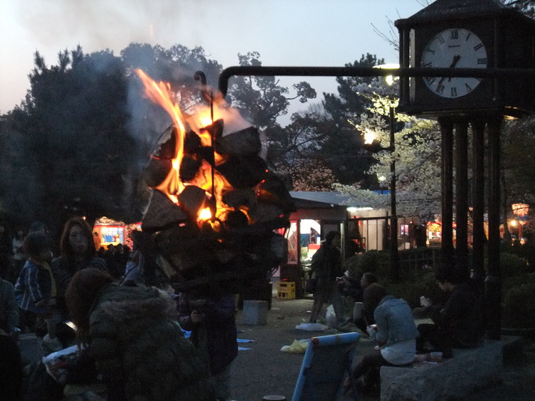 Fire Baskets at Maruyama Park